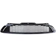 Kép 5/9 - Mini Cooper R56 R57 2006-2009 lakkozott fekete hűtőrács